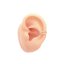 X fake Conch - materiál: Zlato