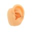 White Star Fake Conch