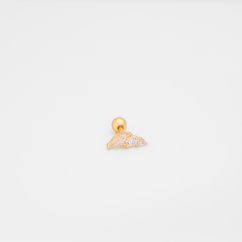 Snow star lobe
