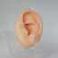 3 Star Lobe
