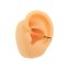 Black Star Fake Conch