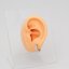 Diamond Shine 10mm