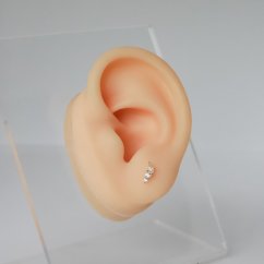 Snow Star Lobe