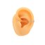 Double Zirkon Conch 12 mm