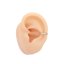 Full Zirkon Circle Fake Conch 10mm