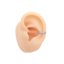 Full Zirkon Circle Fake Conch 10mm