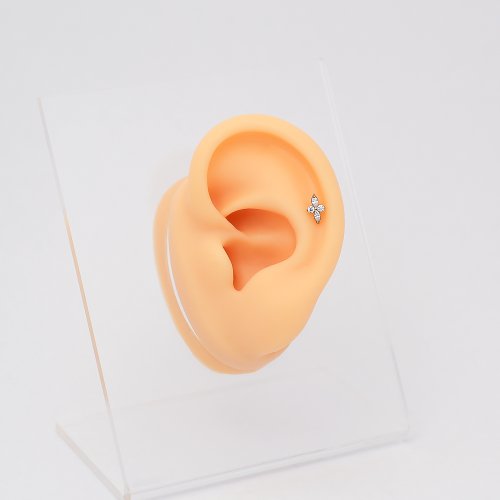 Esens Labret - materiál: Striebro