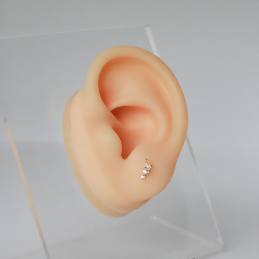 Snow Star Lobe