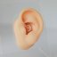 Daith Shine - materiál: Zlato