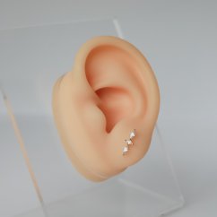 3 Star Lobe