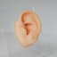 Snow Star Lobe
