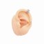 Simple Fake Conch