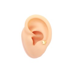 Motýlik Labret 8mm