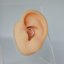Silver Daith